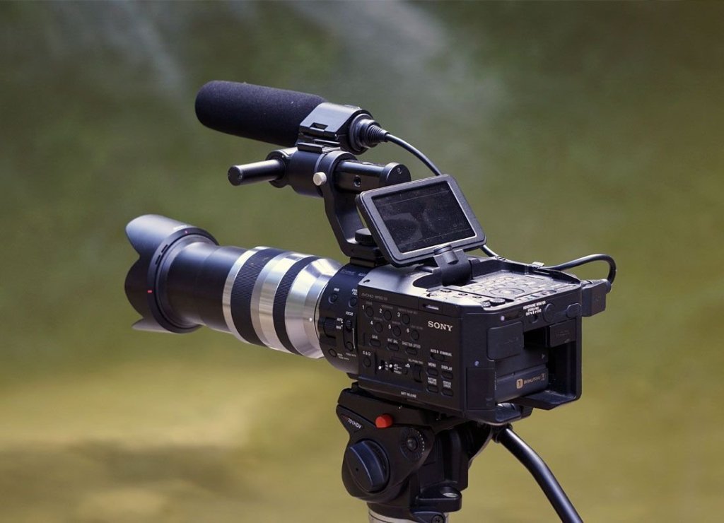 3 Things Everyone Knows About wildlife camera That You&nbsp;Don’t